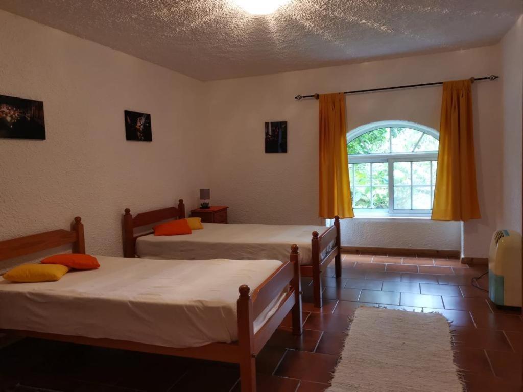 Casa Do Pedro E Da Marina Guest House Lomba  Ngoại thất bức ảnh